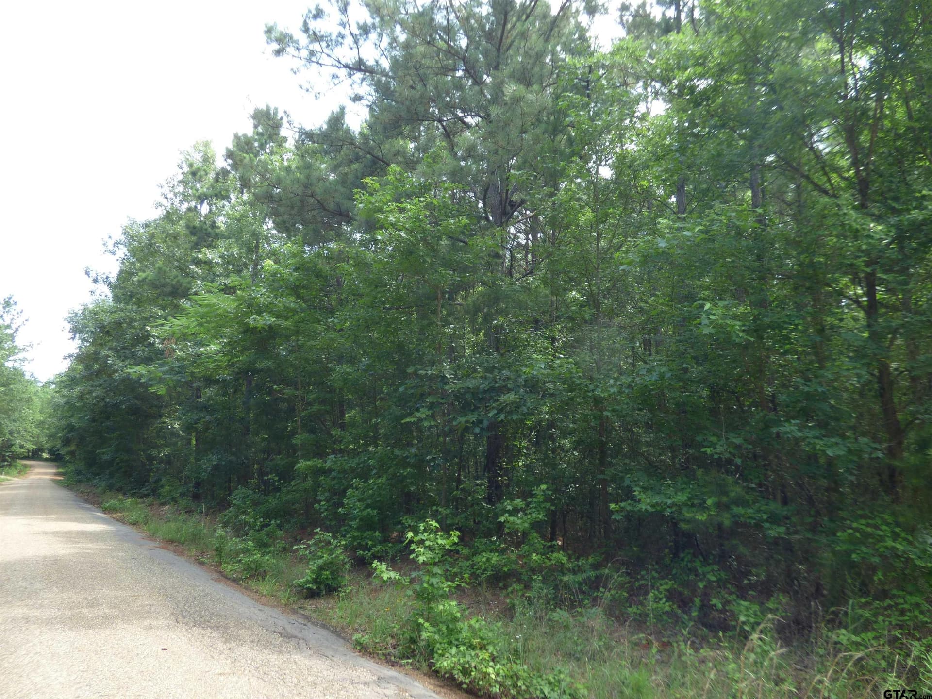 1.91 acres in Upshur County featured view