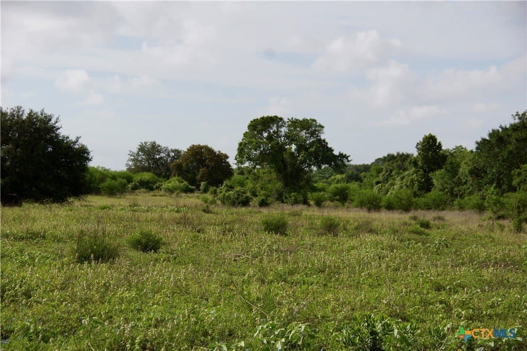 349.62 acres in Victoria County - photo 34