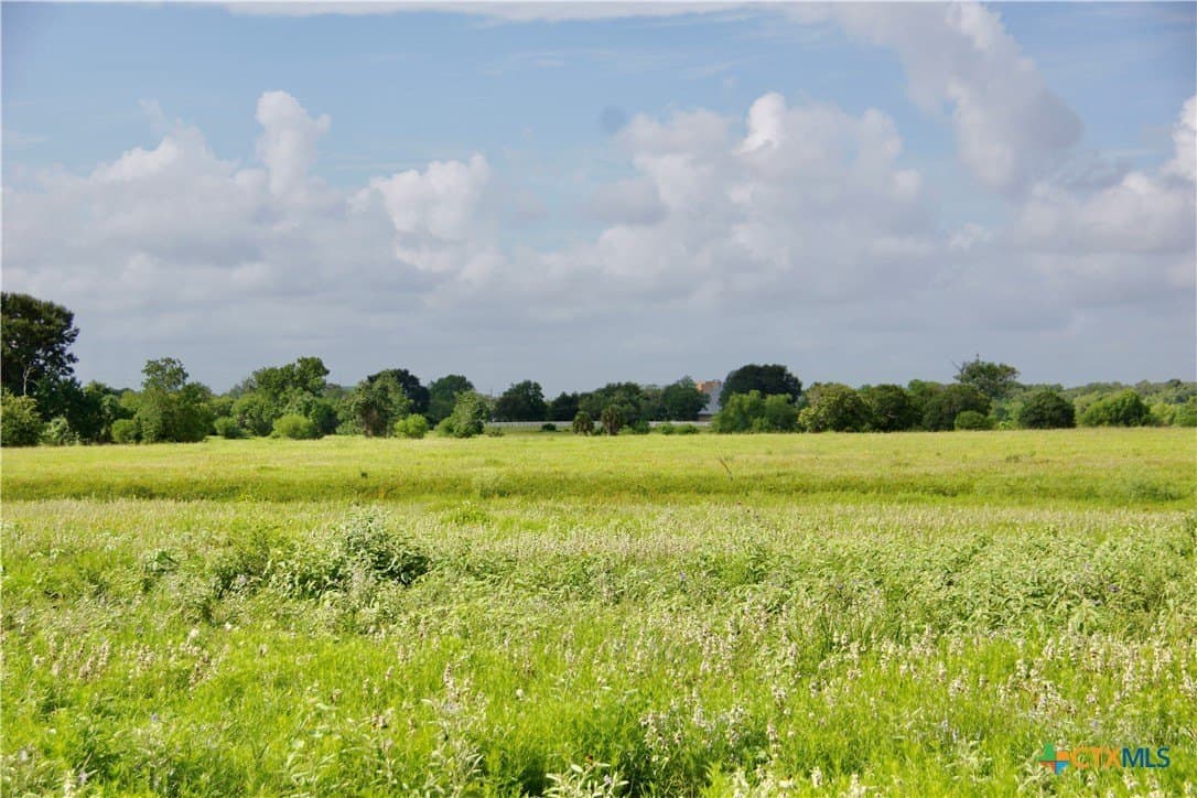 349.62 acres in Victoria County - photo 43