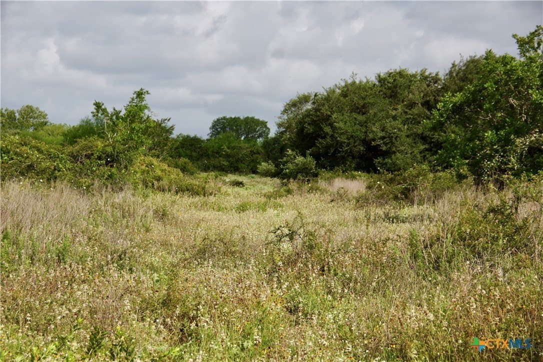 349.62 acres in Victoria County - photo 38