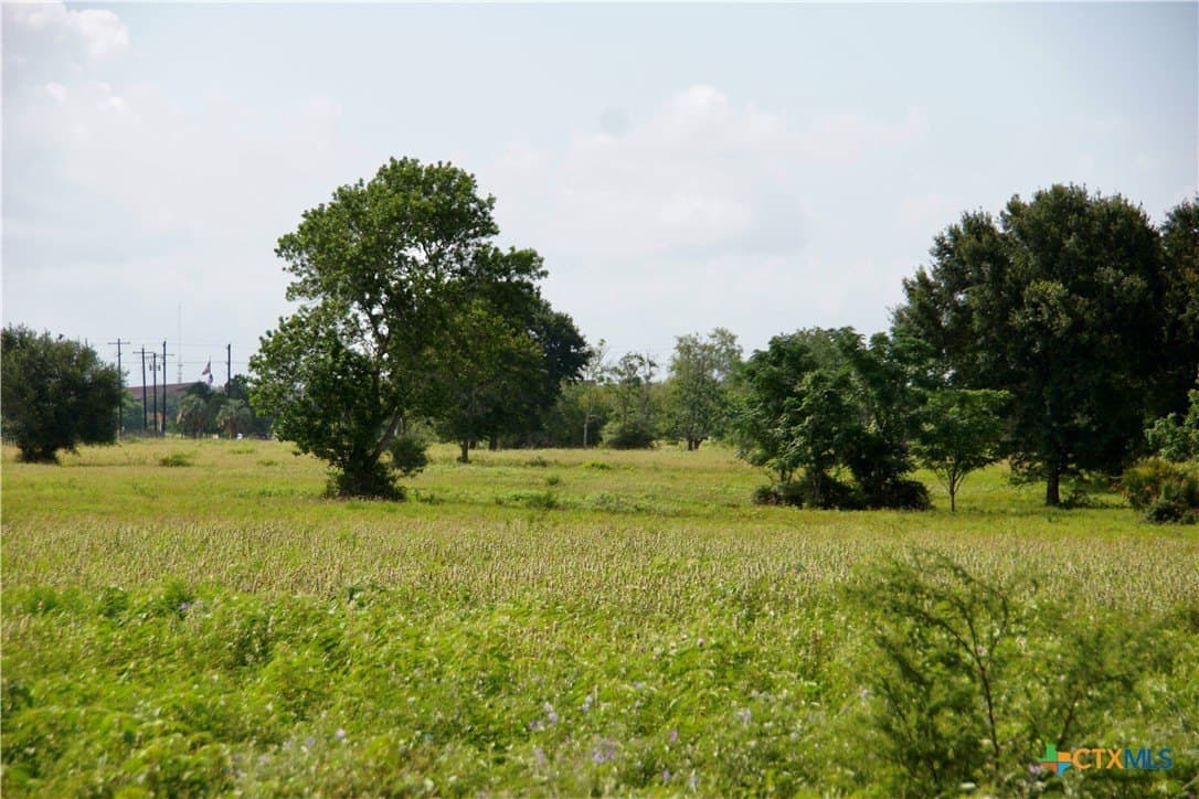 349.62 acres in Victoria County - photo 41