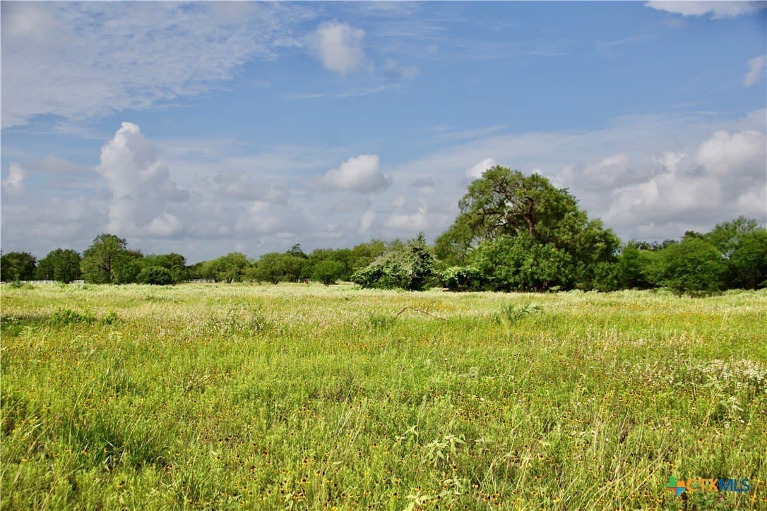 349.62 acres in Victoria County - photo 47