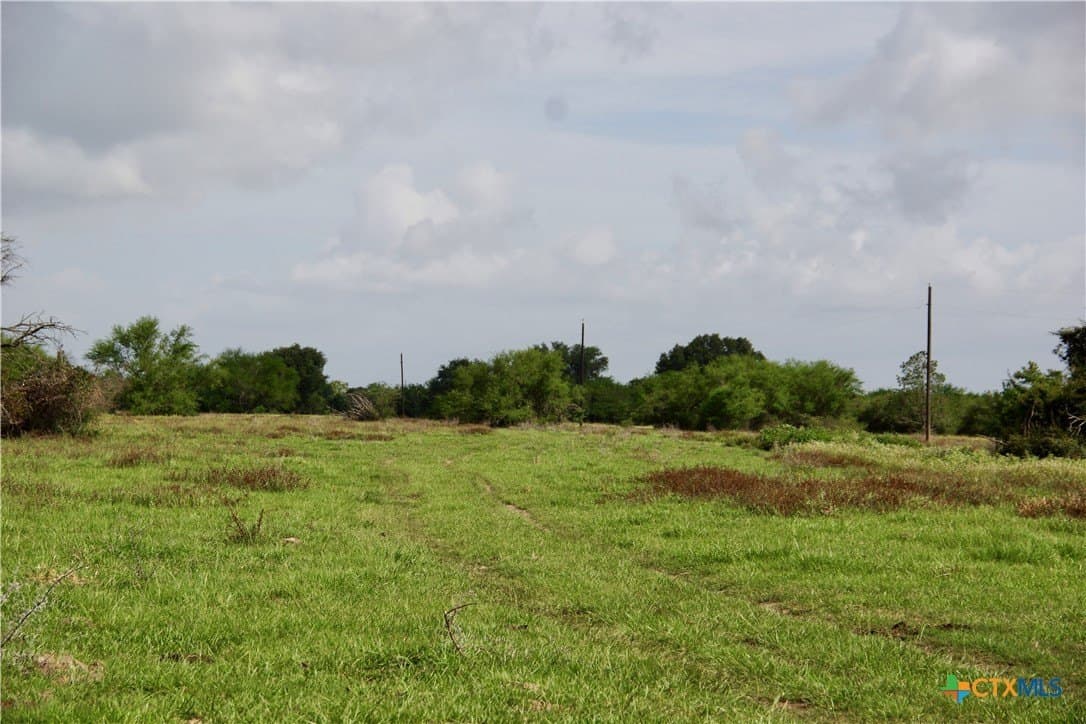 349.62 acres in Victoria County - photo 40