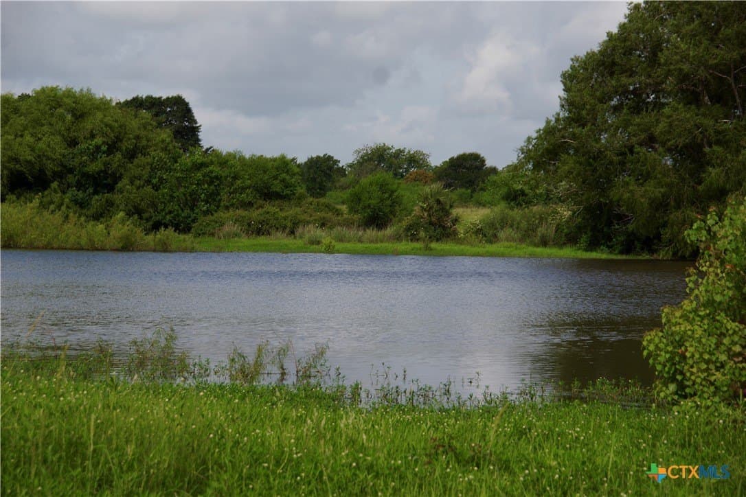 349.62 acres in Victoria County - photo 30