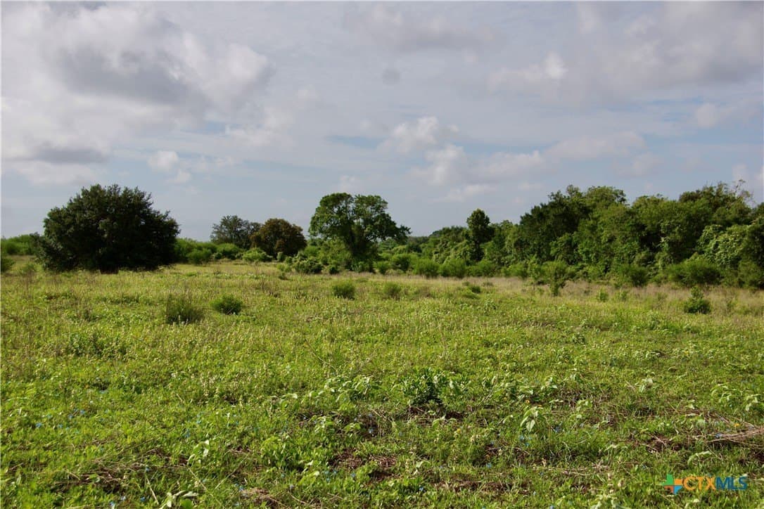 349.62 acres in Victoria County - photo 35