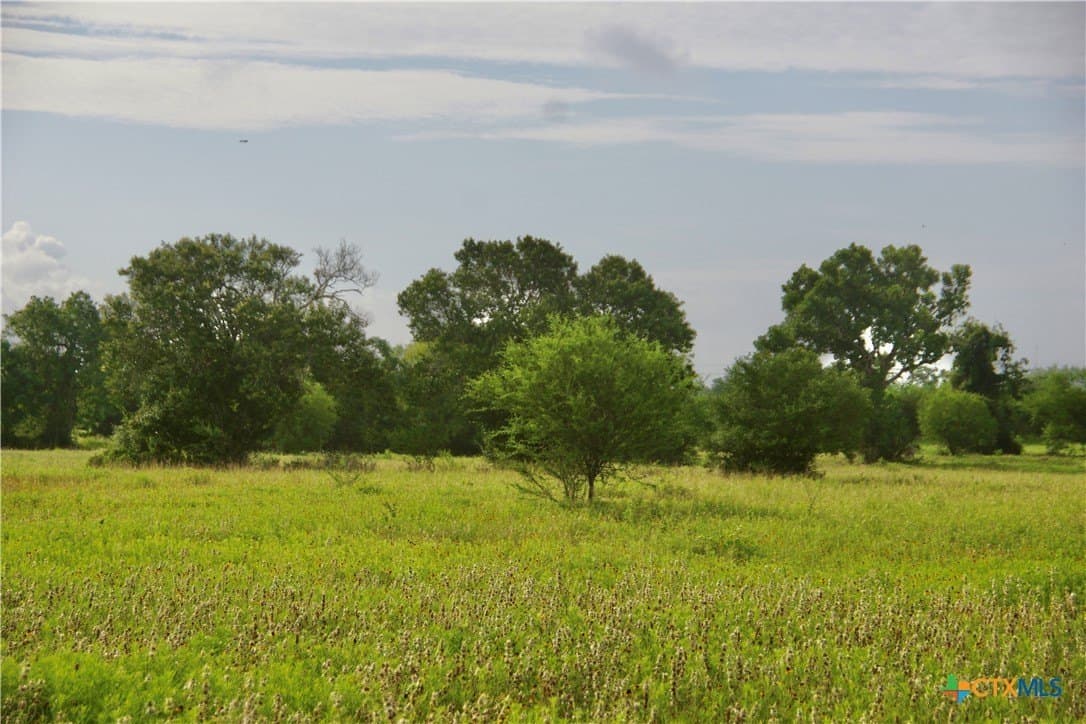 349.62 acres in Victoria County - photo 24
