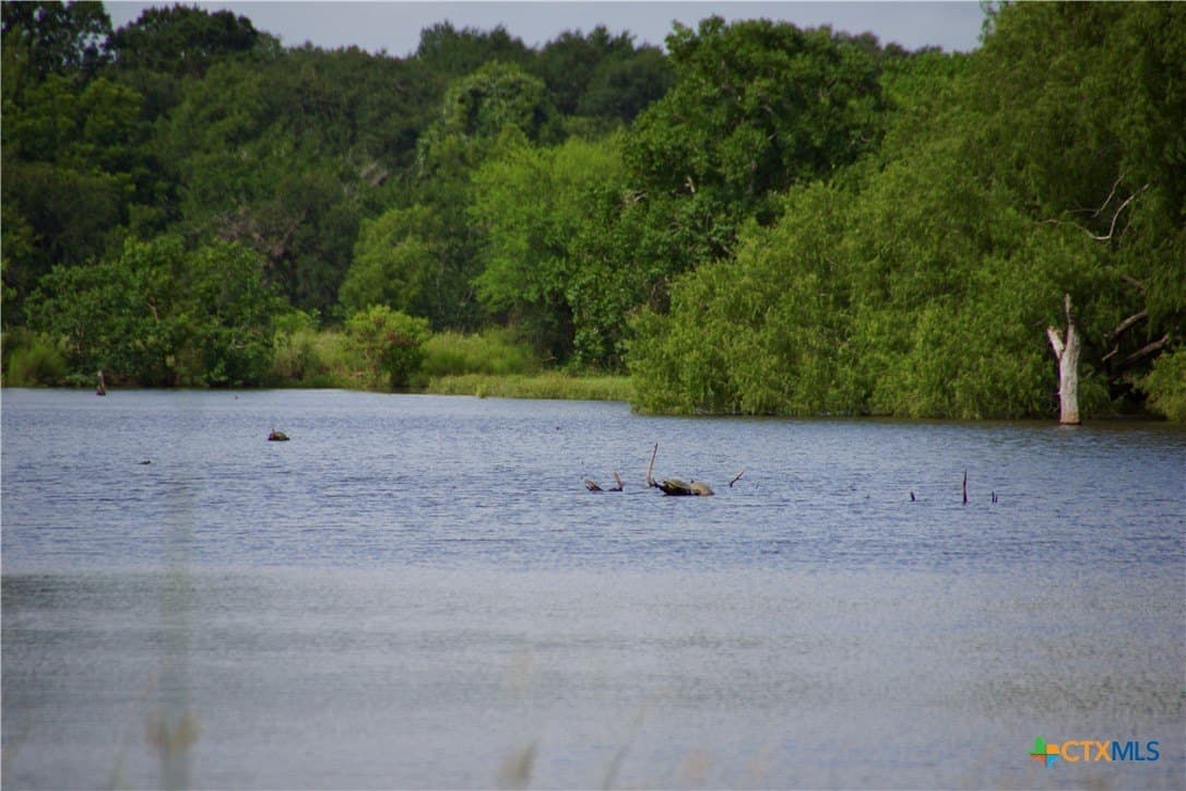 349.62 acres in Victoria County - photo 27