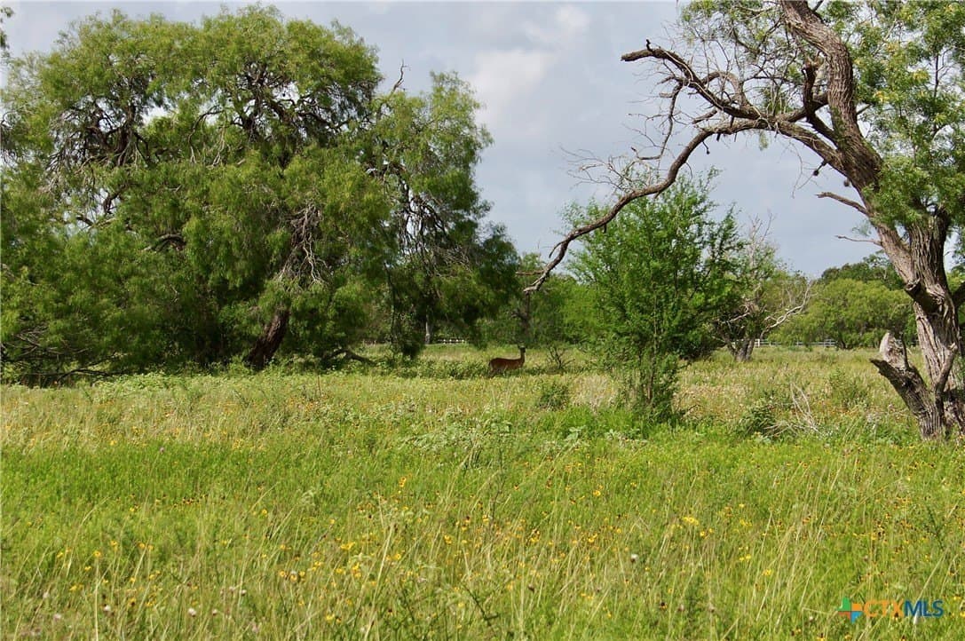 349.62 acres in Victoria County - photo 46
