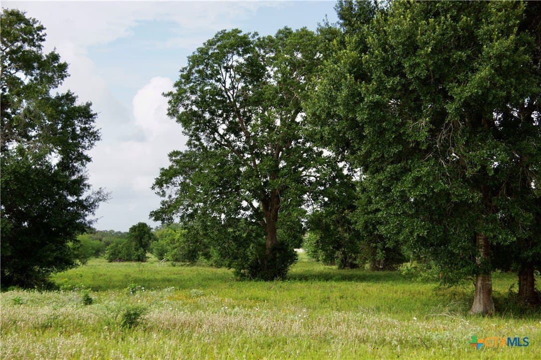 349.62 acres in Victoria County - photo 44