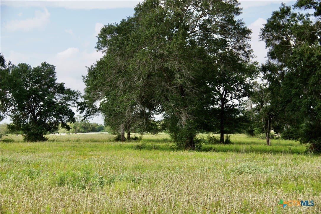 349.62 acres in Victoria County - photo 45