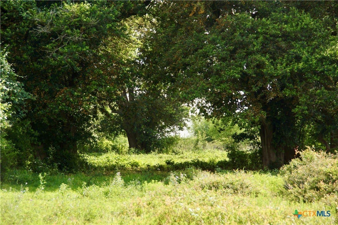 349.62 acres in Victoria County - photo 36