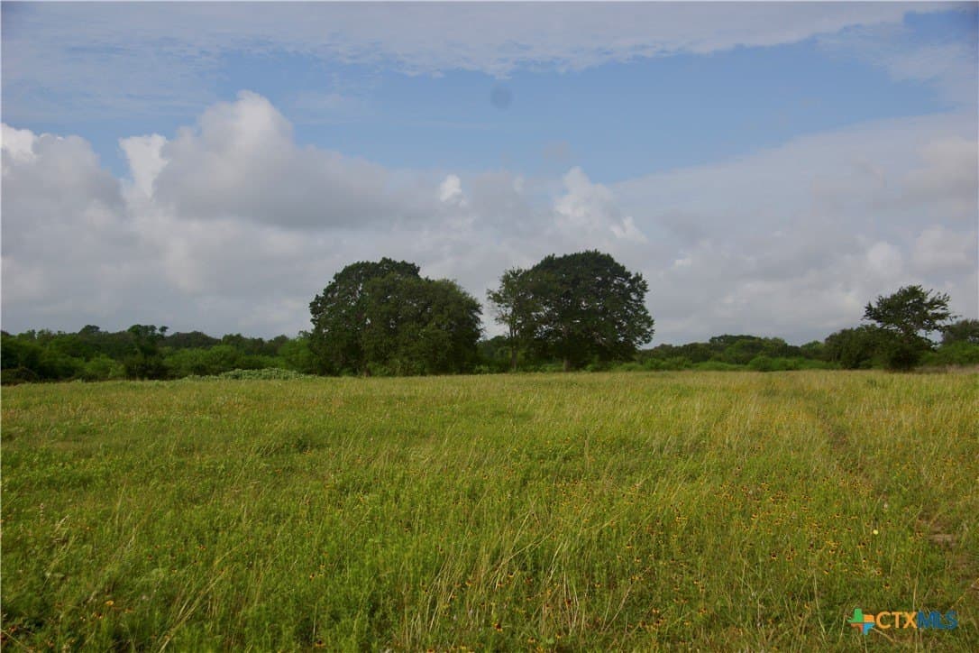 349.62 acres in Victoria County - photo 32