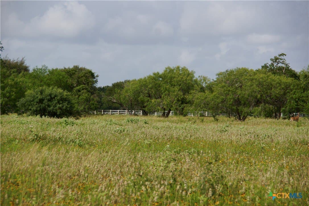 349.62 acres in Victoria County - photo 48