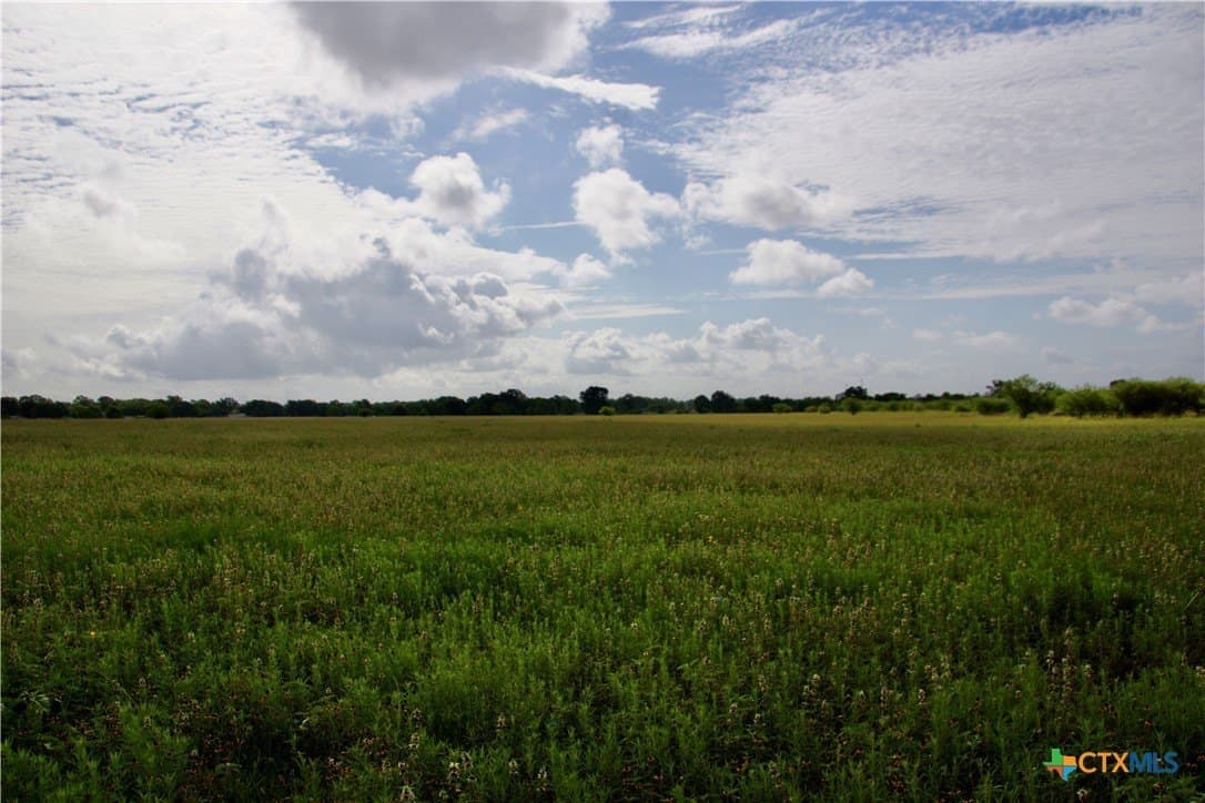 349.62 acres in Victoria County - photo 37
