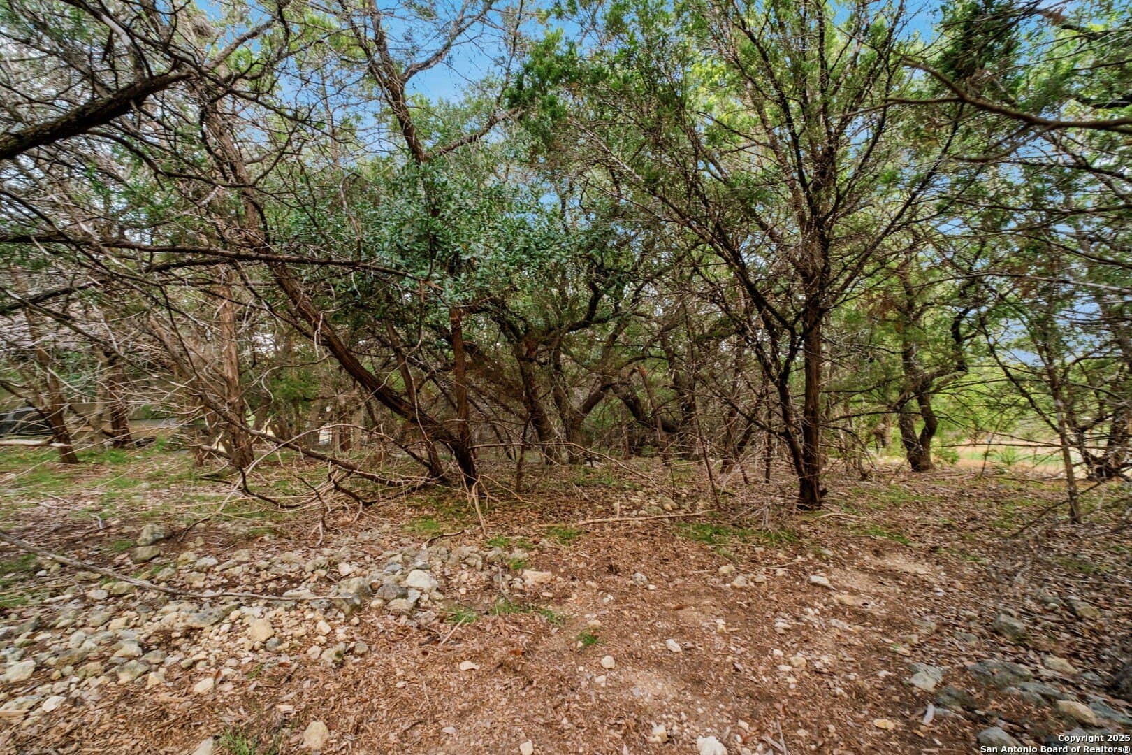 0.83 acres in Bexar County - photo 15