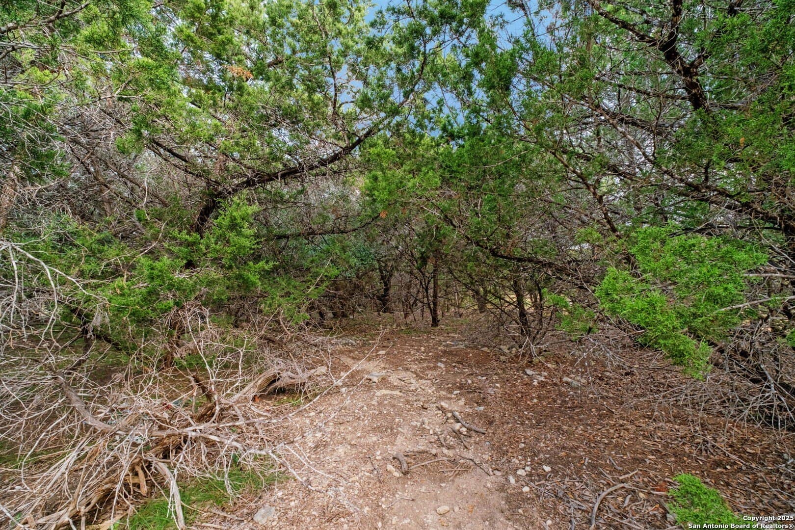 0.83 acres in Bexar County - photo 14