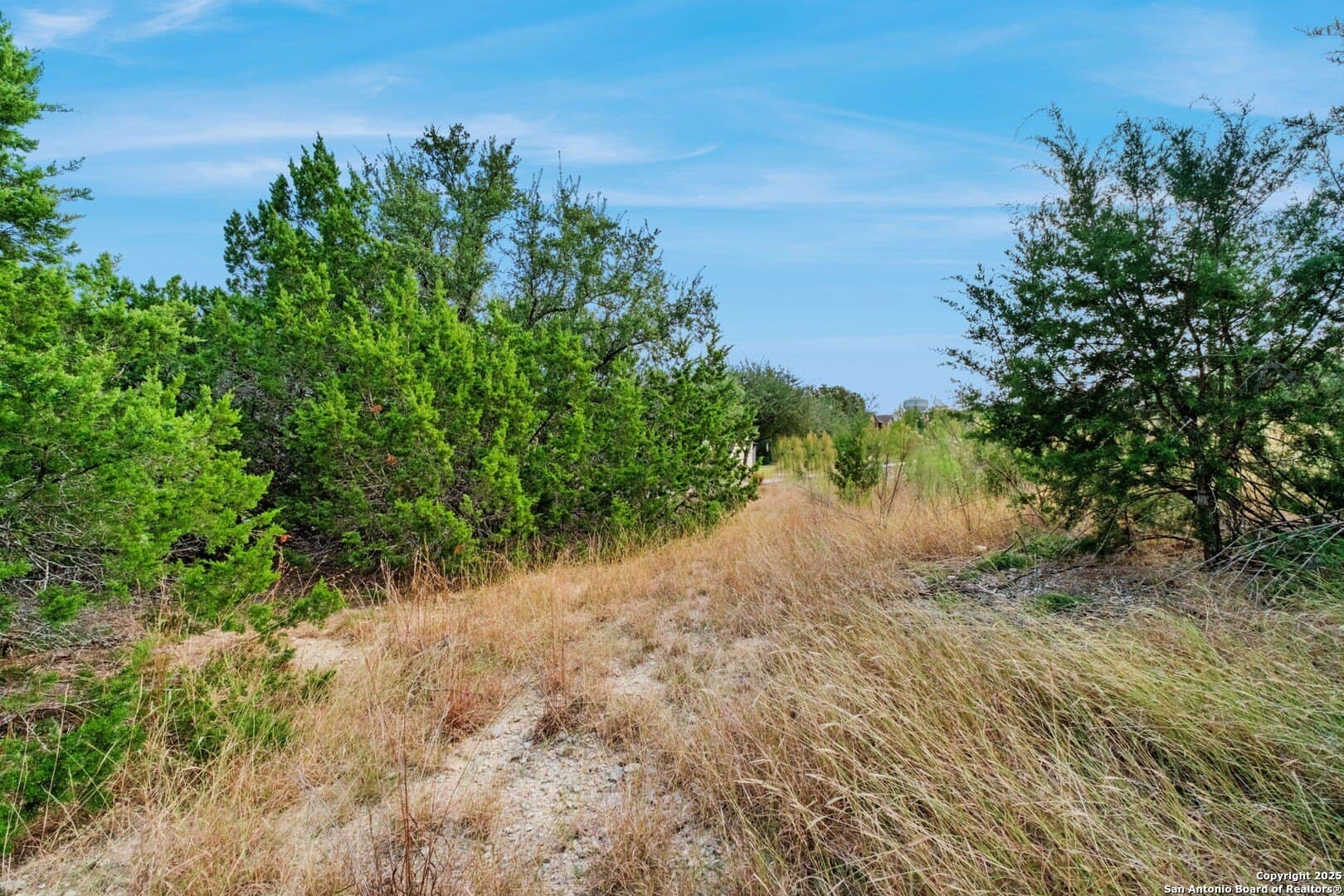 0.83 acres in Bexar County - photo 16
