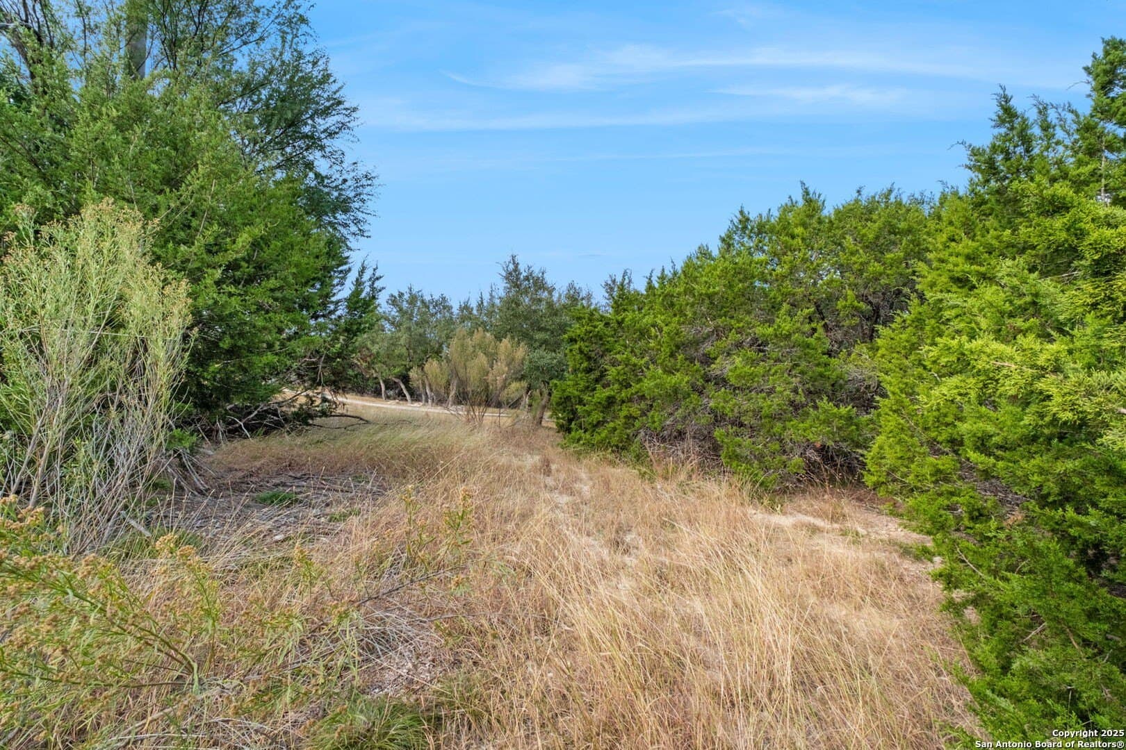 0.83 acres in Bexar County - photo 17