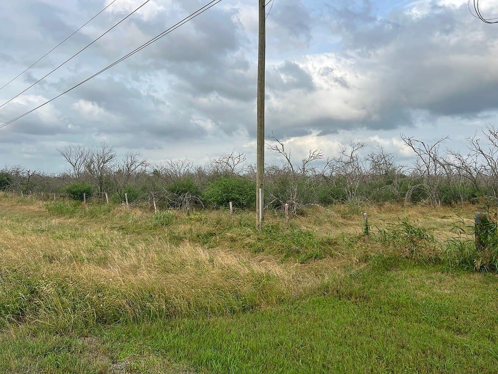 37.95 acres in Austin County gallery image 4