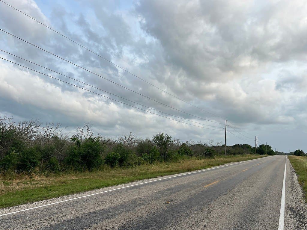 37.95 acres in Austin County gallery image 2