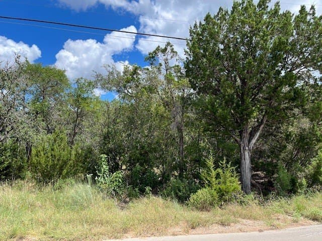 0.57 acres in Comal County gallery image 3