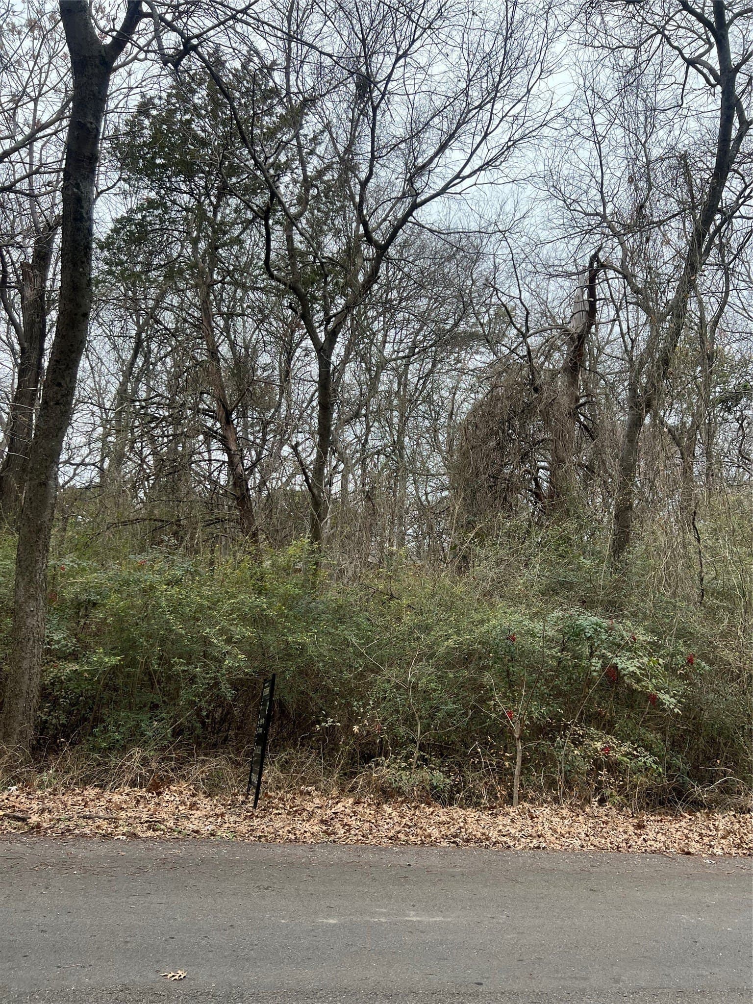 0.29 acres in Dallas County gallery image 2