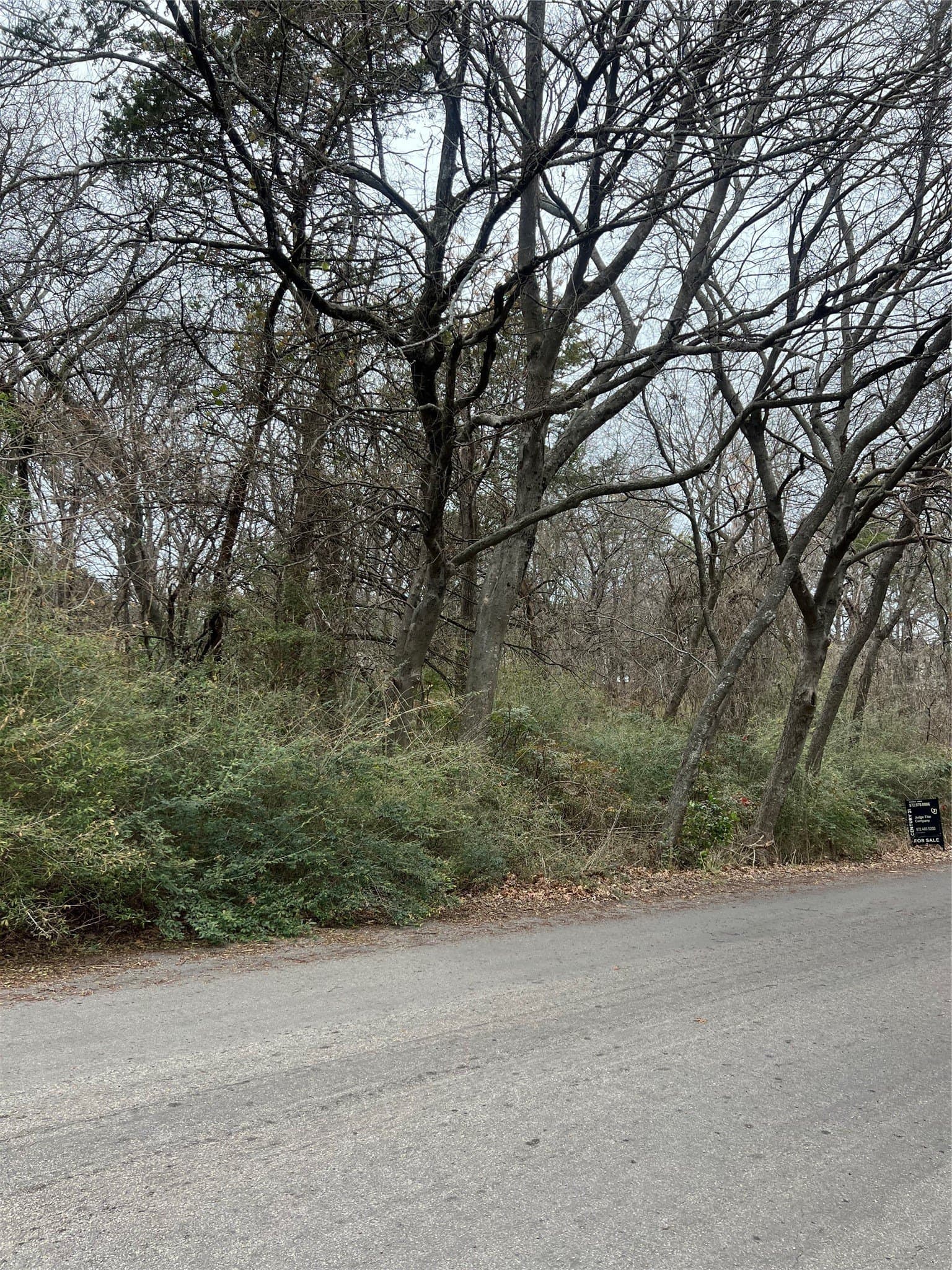 0.29 acres in Dallas County
