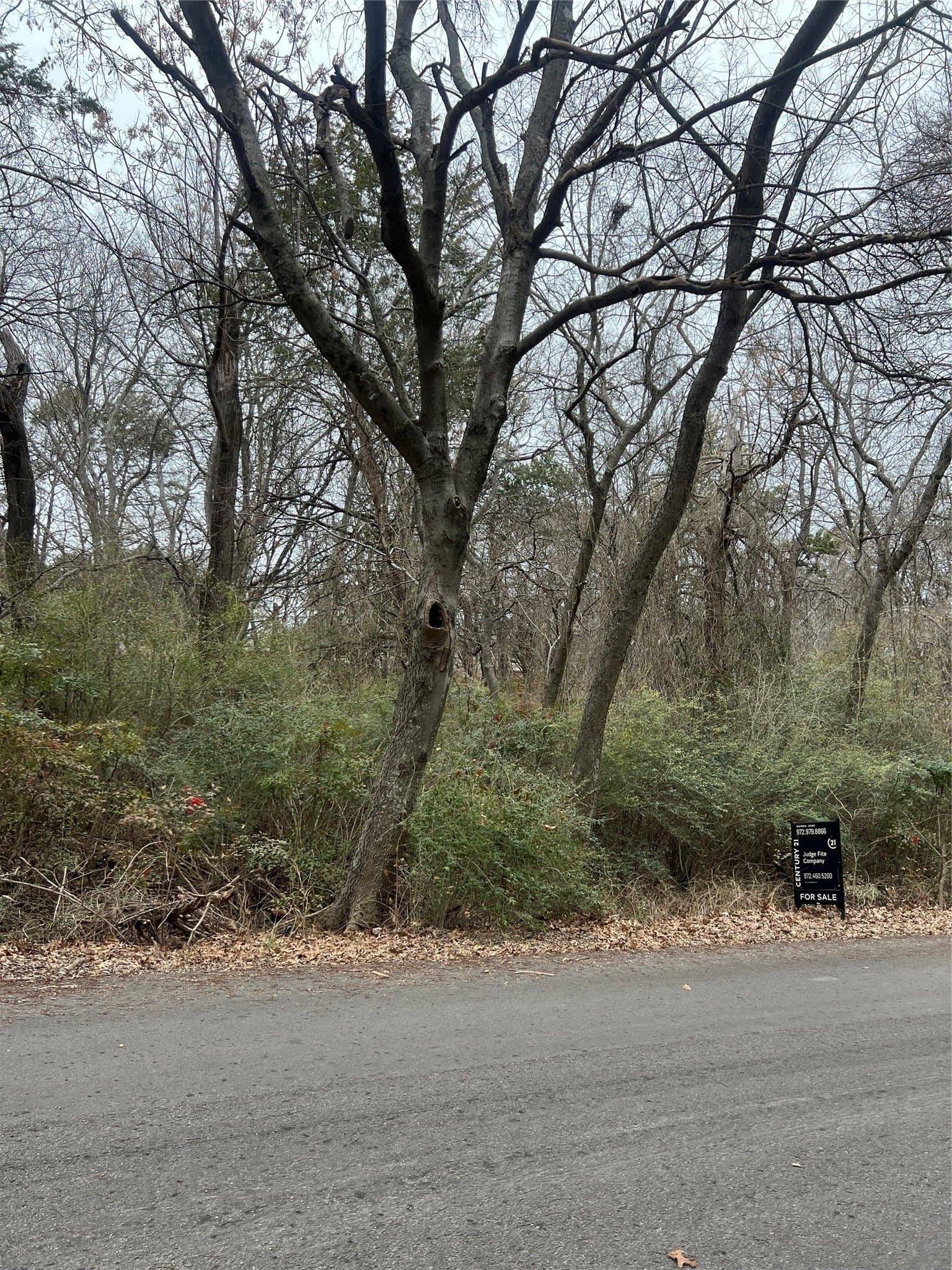 0.29 acres in Dallas County gallery image 3