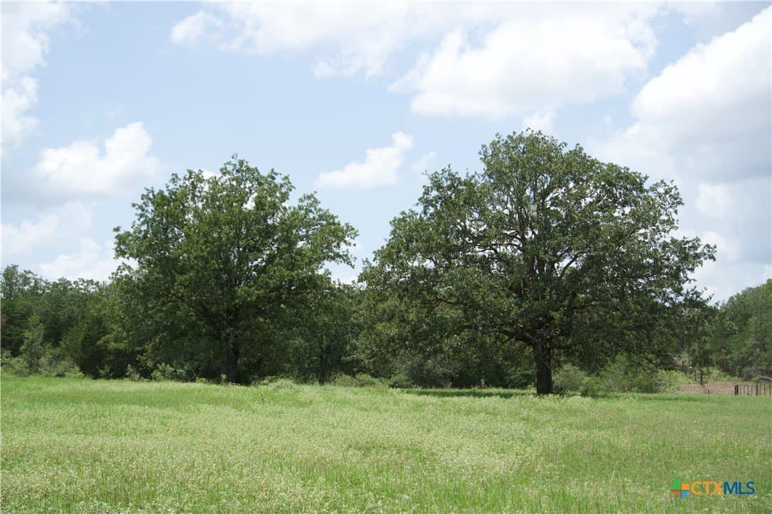 24.52 acres in Bastrop County gallery image 4