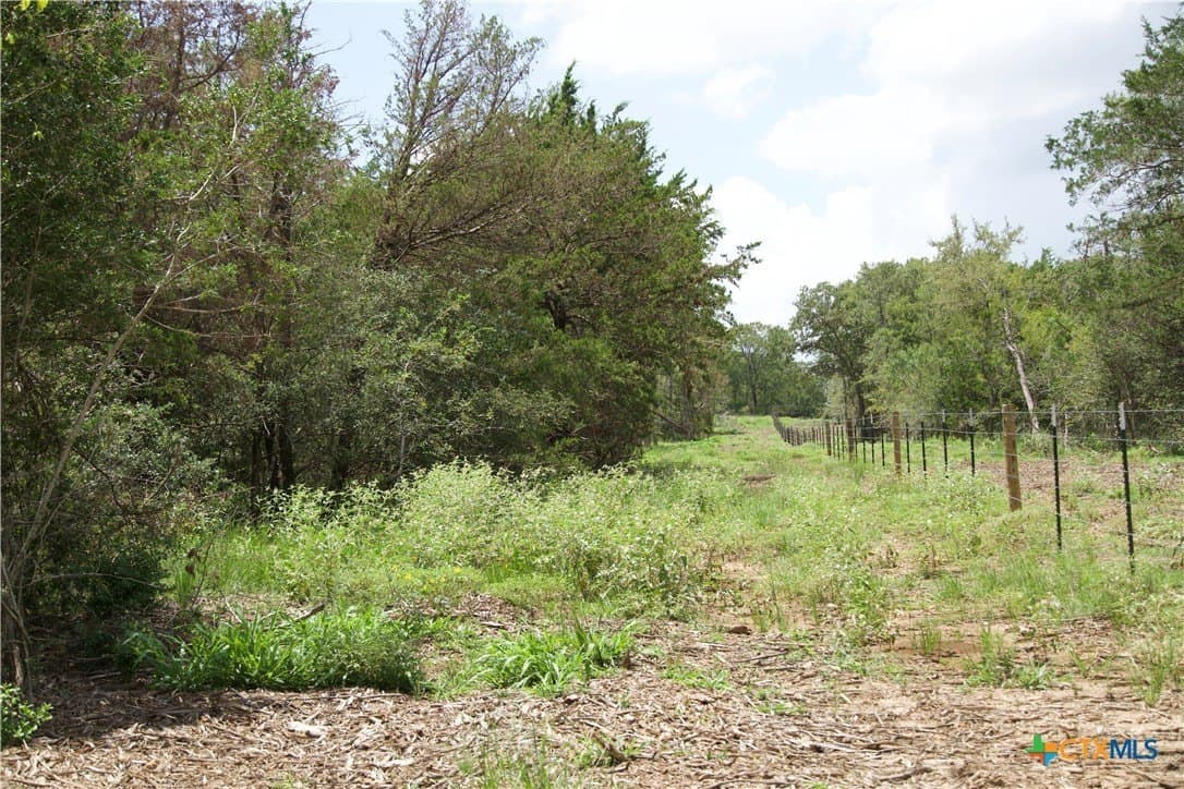 24.52 acres in Bastrop County featured view