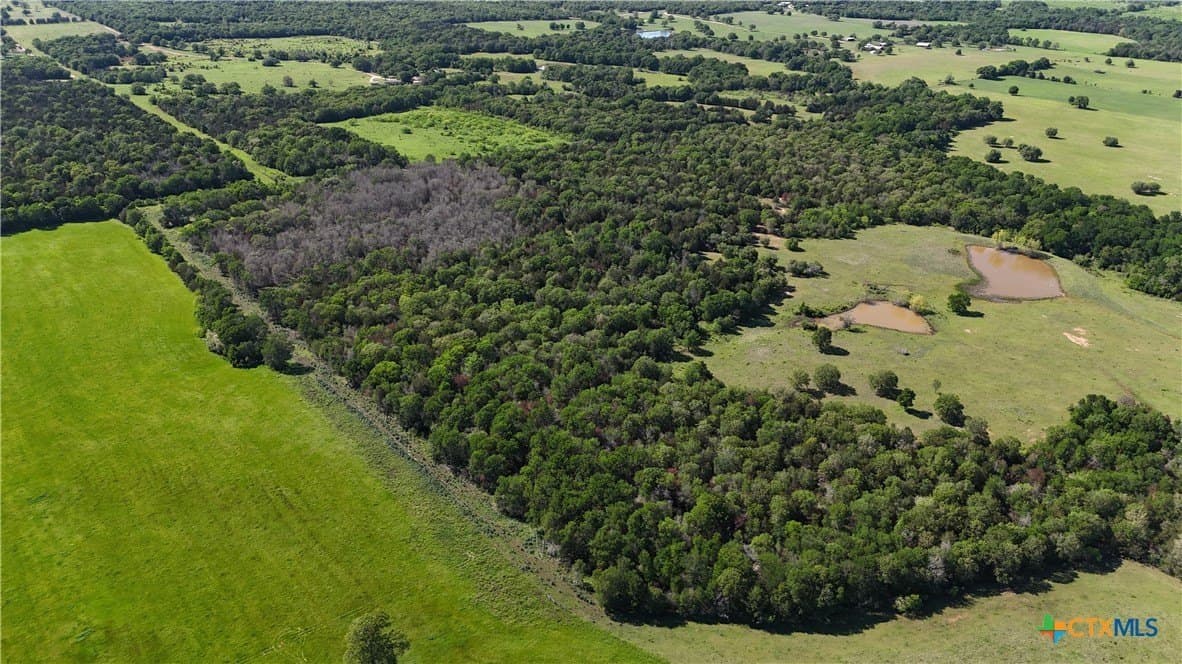 24.52 acres in Bastrop County gallery image 2