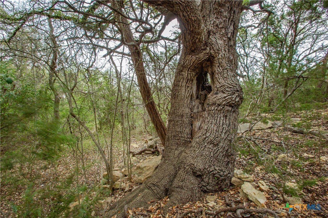13.48 acres in Comal County - photo 15