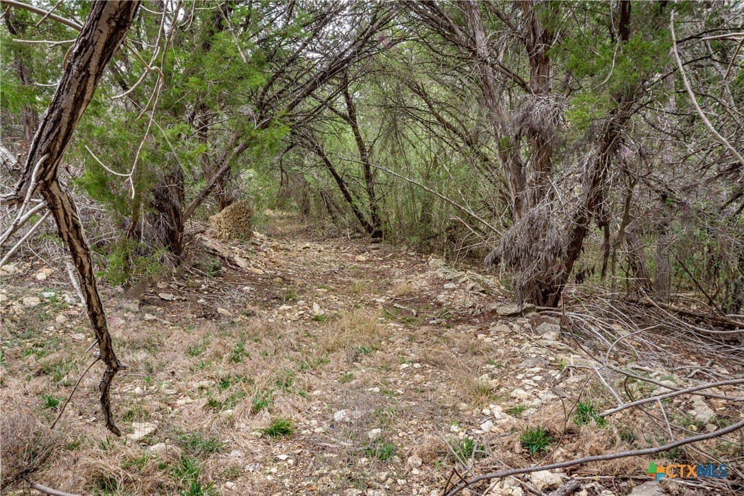 13.48 acres in Comal County - photo 14