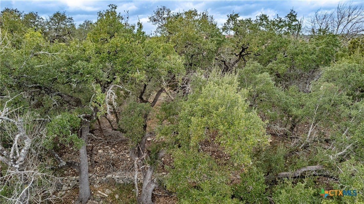 13.48 acres in Comal County - photo 19