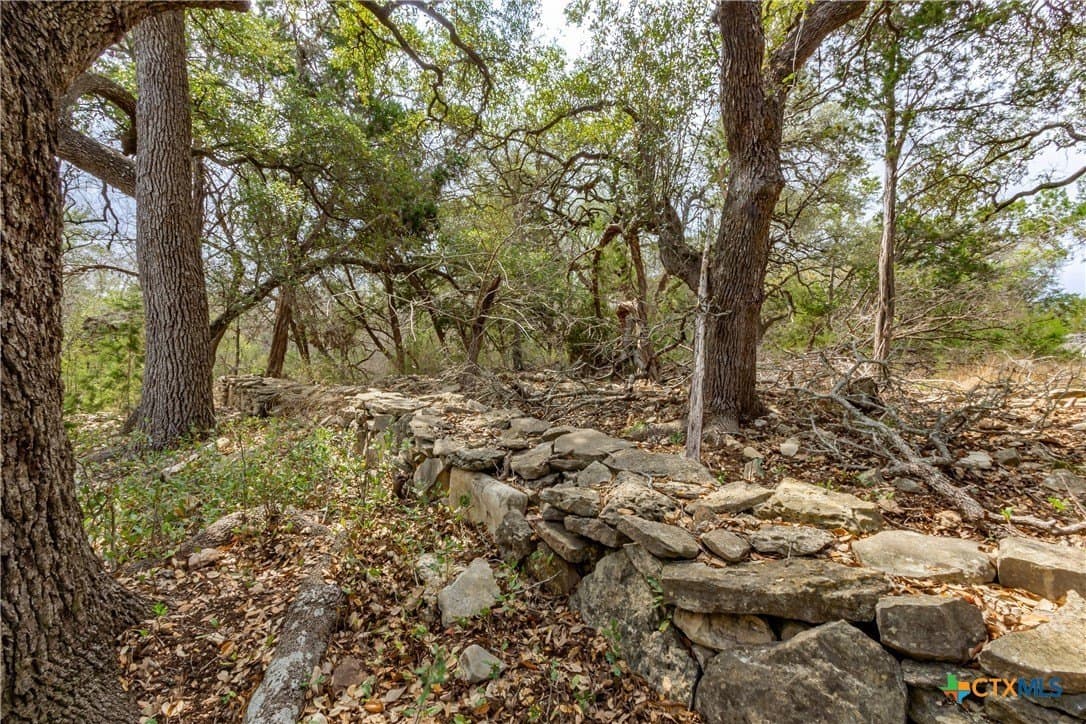 13.48 acres in Comal County - photo 16