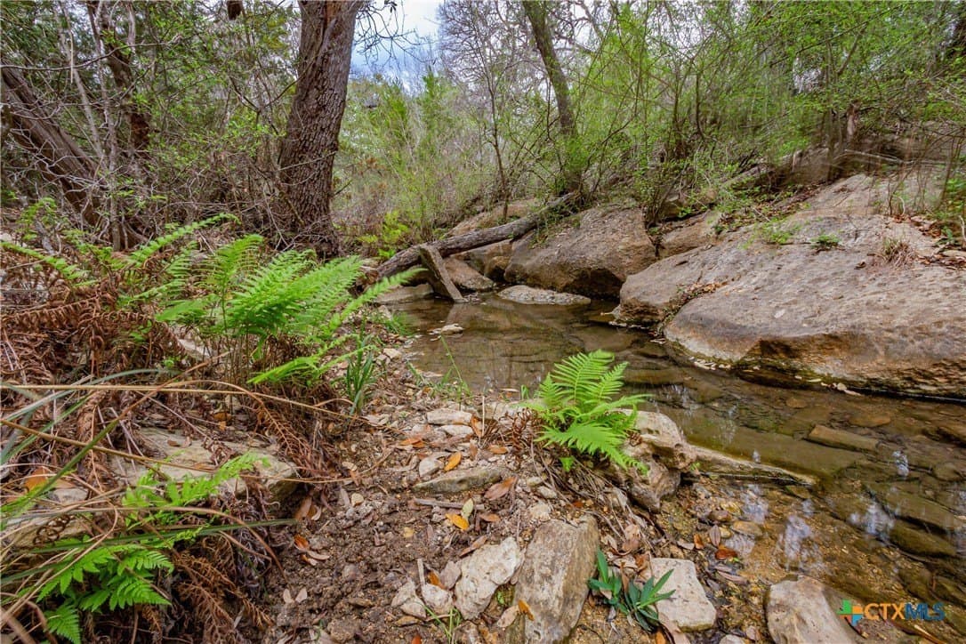 13.48 acres in Comal County gallery image 2