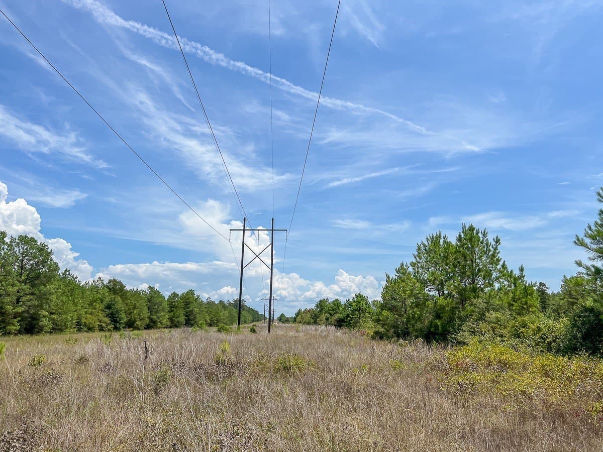 451 acres in Walker County - photo 7