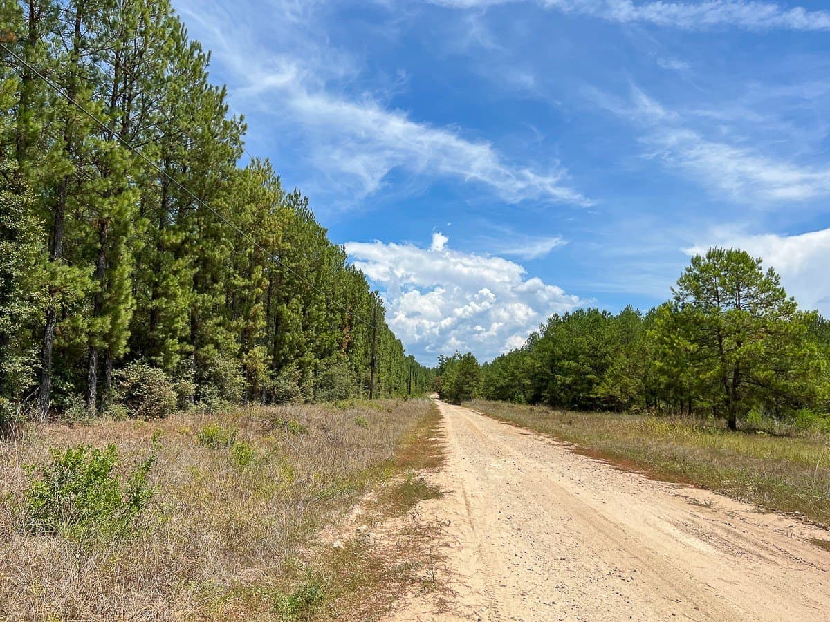 451 acres in Walker County - photo 5