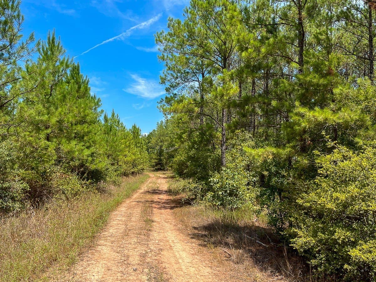 451 acres in Walker County