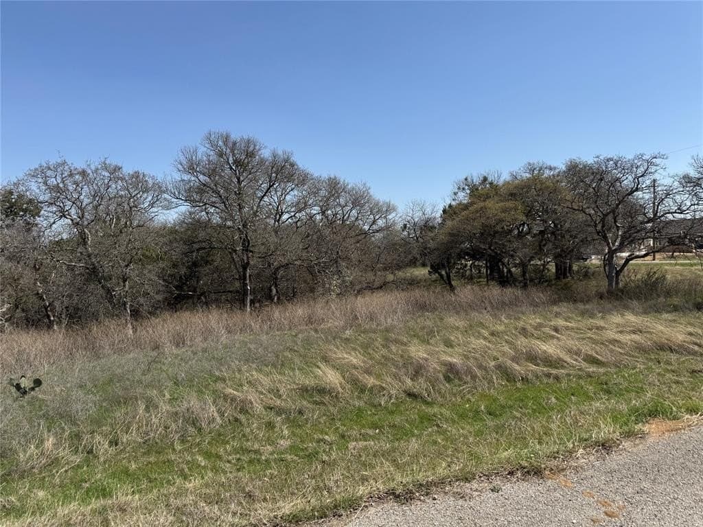 0.23 acres in Hill County gallery image 3