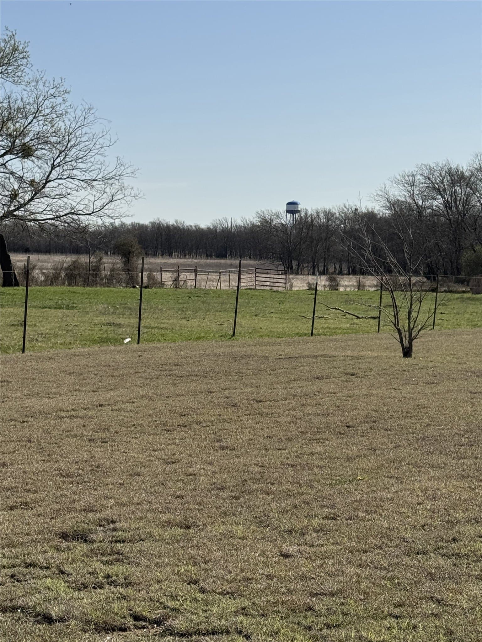 60 acres in Grayson County - photo 18