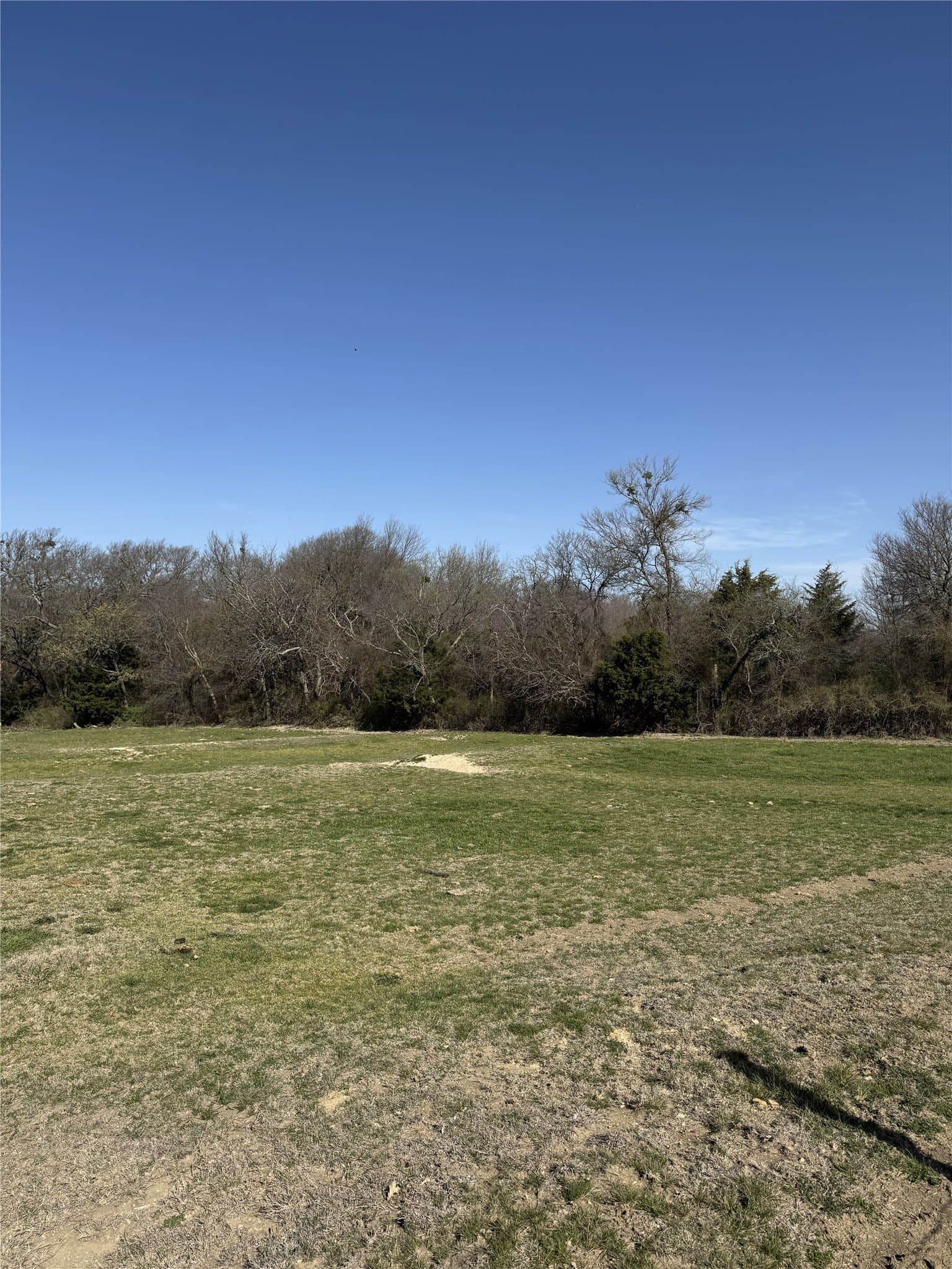 60 acres in Grayson County - photo 19