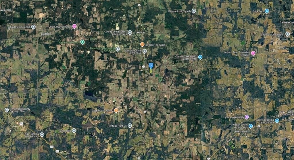 10.03 acres in Henderson County gallery image 4