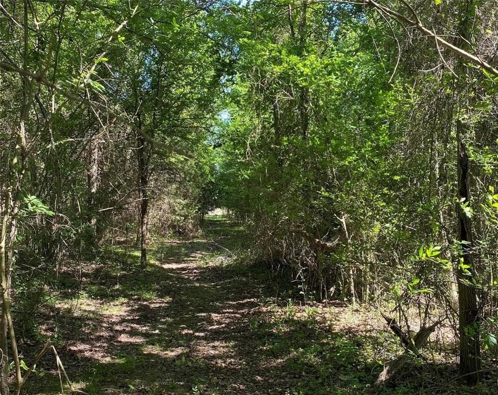 37.7 acres in Wood County featured view