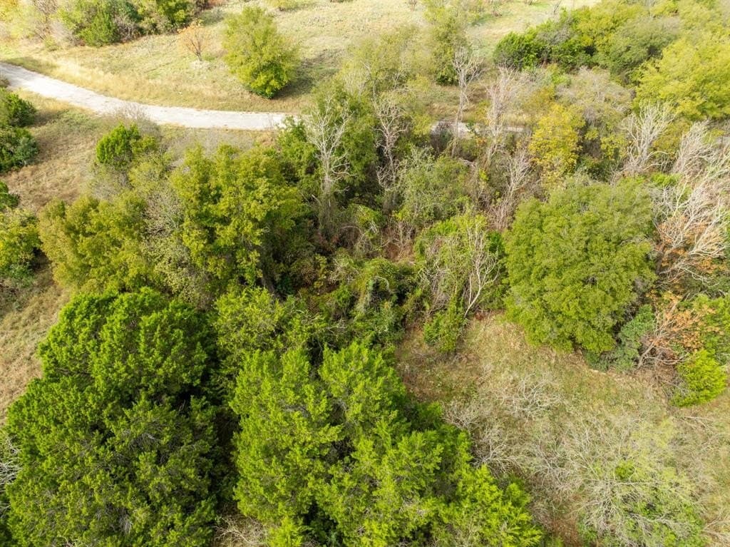 0.29 acres in Hill County gallery image 2