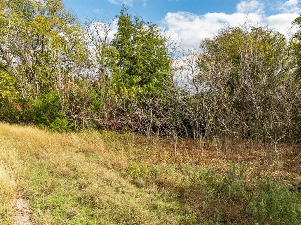 0.29 acres in Hill County gallery image 3