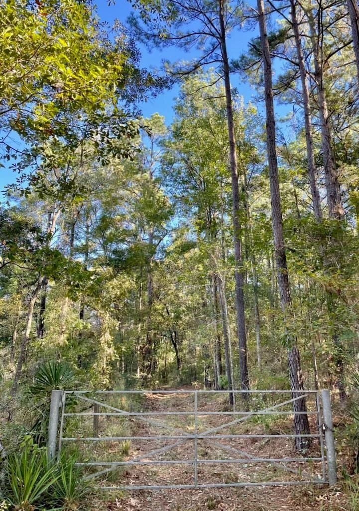 56 acres in Texas County - photo 13