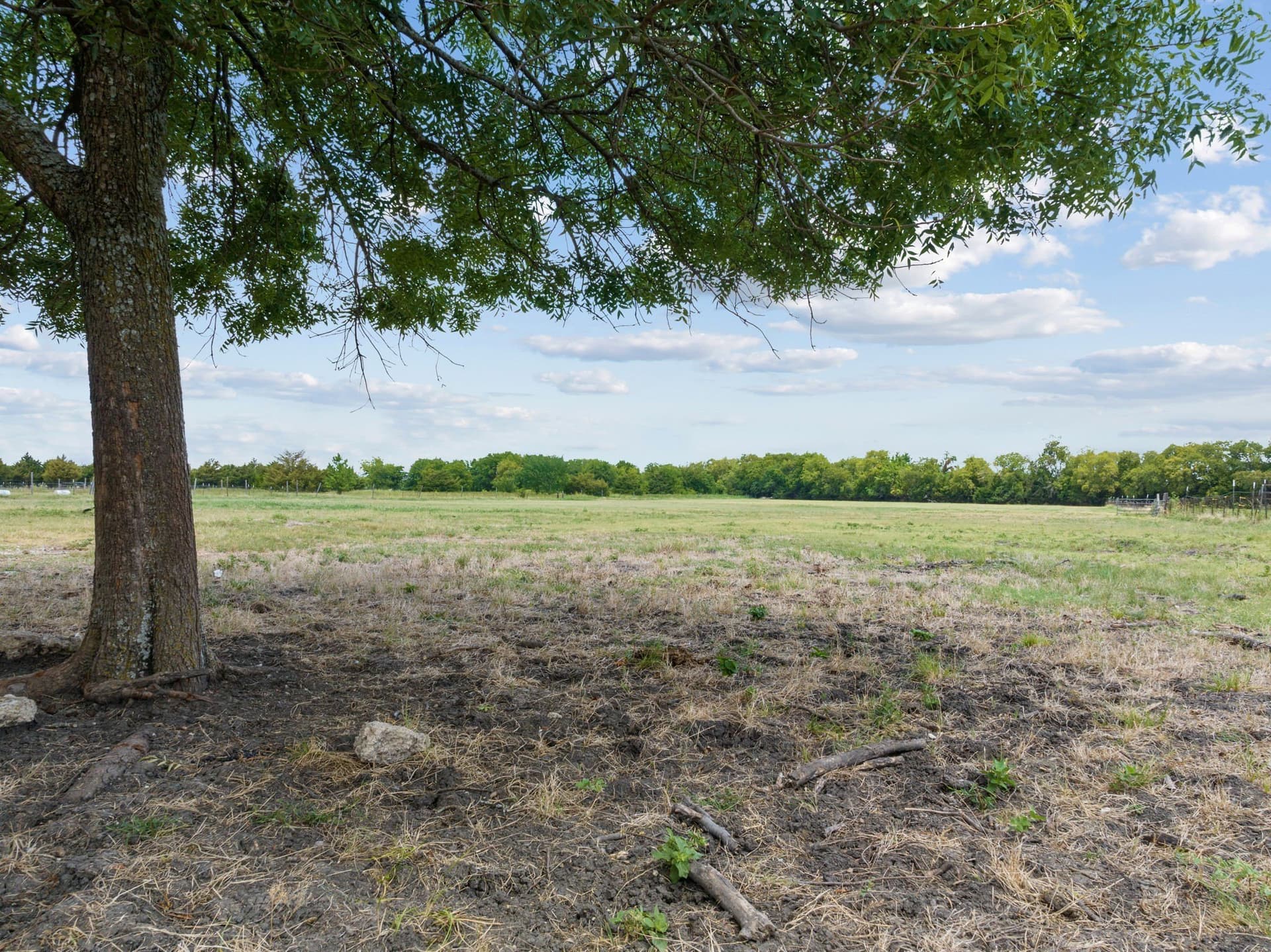 5.14 acres in Collin County - photo 8