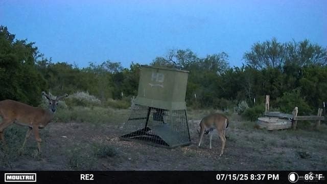 42.84 acres in Jim Wells County - photo 16