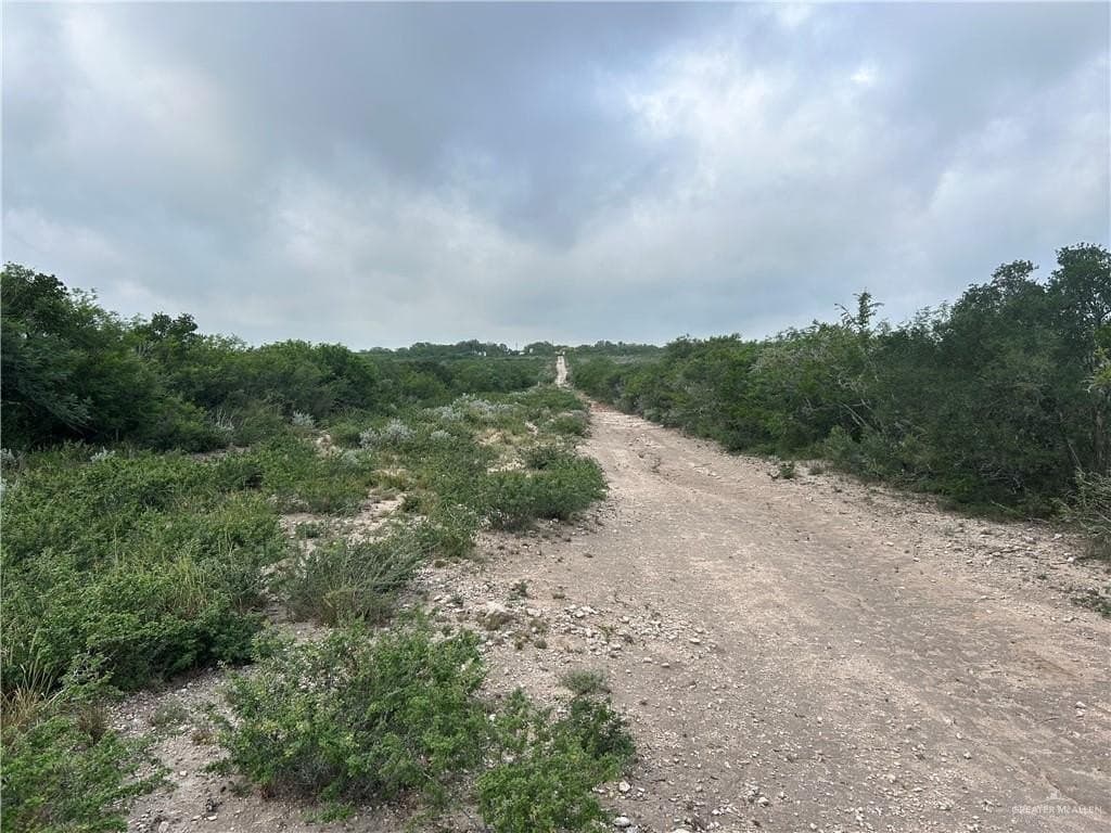 42.84 acres in Jim Wells County - photo 10